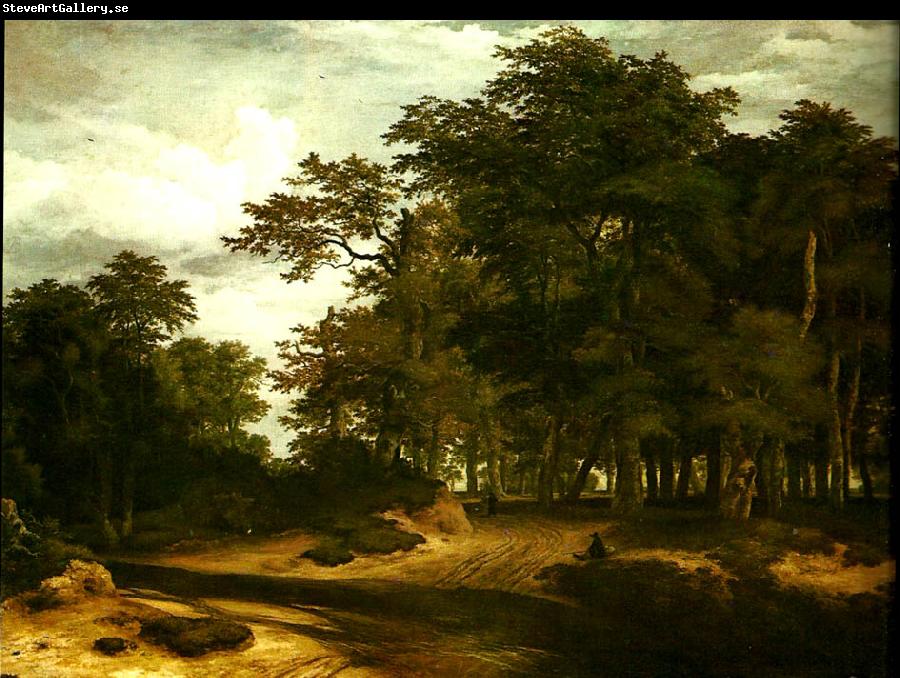 Jacob van Ruisdael den stora skogen